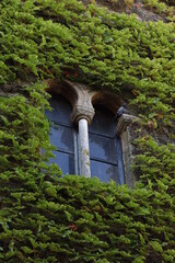 Window of an old palace in Caceres, Spain