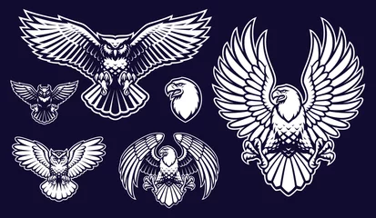 Photo sur Plexiglas Dessins animés de hibou A set of vectors illustrations of birds, such as an eagle, an owl and others.