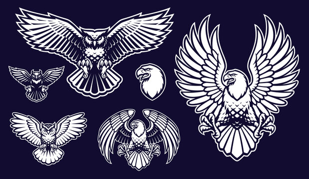 A set of vectors illustrations of birds, such as an eagle, an owl and others.