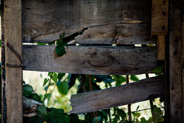 barrière en bois vermoulue