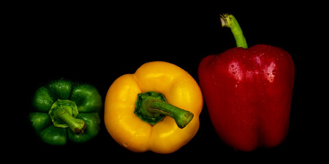 Makro frische Paprika rot gelb grün mit Wassertropfen vor schwarzem Hintergrund