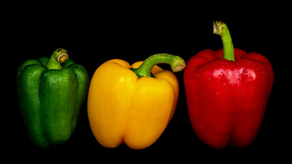 Makro frische Paprika rot gelb grün mit Wassertropfen vor schwarzem Hintergrund