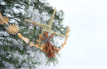 ireland handmade amulet from straw, magic witchcraft doll on snowy pine tree. Brigid's cross -...