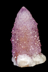 macro mineral stone amethyst cactus on a black background