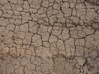 Dried earth surface structure. View from above