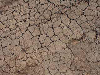 Cracks on the earthen surface of a dirt road. Top view