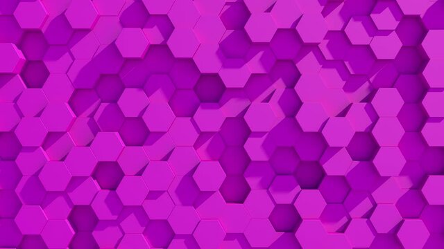 Abstract Pink  hexagon motion background. Close-up 3D animation of a purple hexagons rising up and down. 