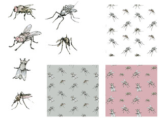 Watercolor illustration set of insects with fly and mosquito, seamless patterns. Pastel color sketch isolated on a white background. Elegant clip art drawn by hand with ink.