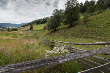 Haystacks on the slopes of the mountains among the forest. The pastures are separated by a wooden fence.