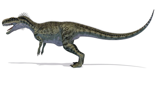 Dinosauro Monolophosaurus