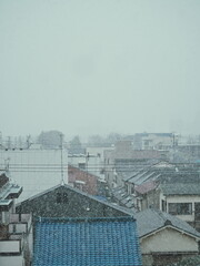 Obraz premium OLYMPUS DIGITAL CAMERA