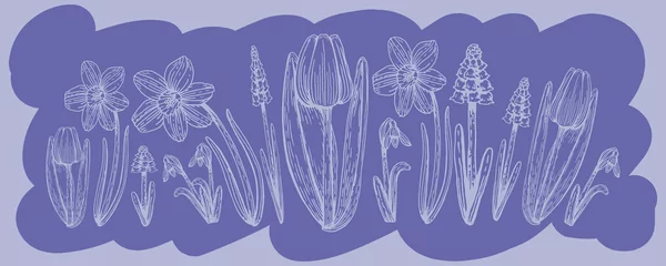 Cercles muraux Pantone 2022 very peri Botanical set of spring flowers line art. Hand drawn vector illustration. A simple sketch of a meadow tulip, daffodil, muscari, pussy willow, lily of the valley on a colored background is very peri.