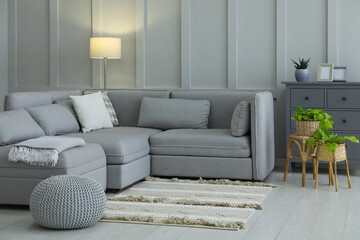 stylish living room interior with comfortable grey sofa and plants