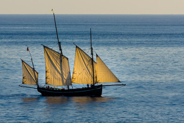 Fototapeta na wymiar sailing ship in the sea
