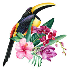 Toucan and tropical flowers orchid, turmeric, palm leaves on isolated white background, watercolor botanical painting © Hanna
