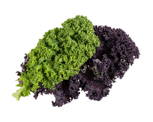 Two fresh multicolored kale leaves isolated on white. Green and purple curly kale leaves. Top view.