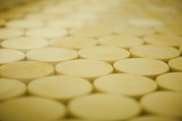 CHEESE AND MILK FACTORY. High quality photo
