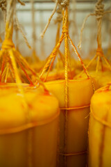 CHEESE AND MILK FACTORY. High quality photo