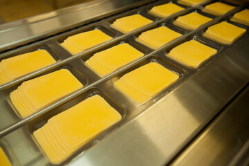 CHEESE AND MILK FACTORY. High quality photo