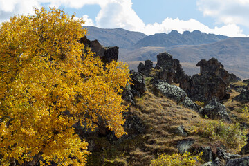 Obraz premium autumn landscape in the mountains