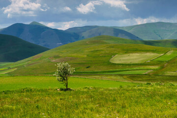 Fototapeta na wymiar Piano Grande di Castelluccio, mountain and rural landscape