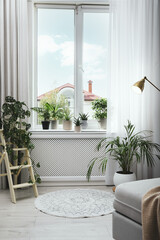 Many different houseplants in room. Interior design