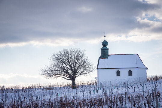 Small chapel in a winter vineyard in Burgenland