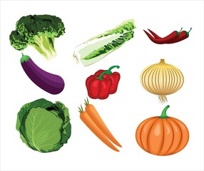 Set of fresh organic vegetables. Agricultural product vector illustration
