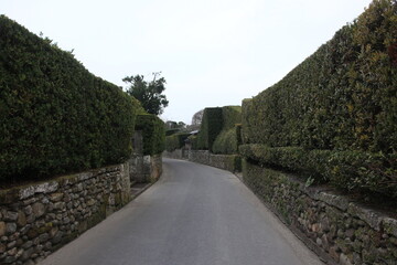 知覧の武家屋敷。きれいに手入れされた垣根に挟まれた道。植え込みの内側は日本庭園の背景となっている。