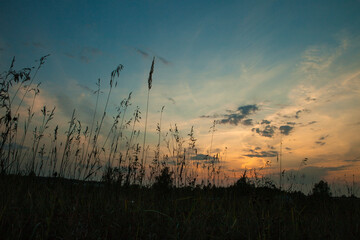Sunset in the field