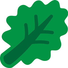 kale icon