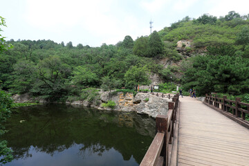 Fototapeta premium Cherry valley scenic spot, Beijing Botanical Garden, natural scenery, China