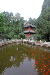 Fototapeta premium The architectural landscape of the release pond is in the Beijing Botanical Garden