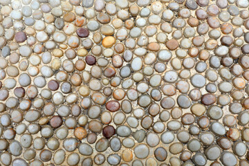 The cobblestone ground is in a park