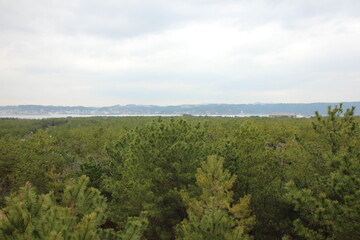 Fototapeta na wymiar 桜島の風景。鳥島展望所から望む対象溶岩原。