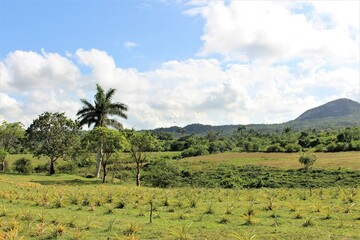 View of landscape in countryside in Cuba
