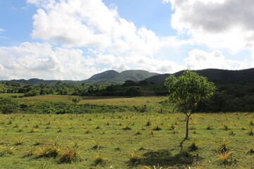 View of landscape in Cuban countryside