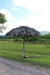 Isolated umbrella in country landscape