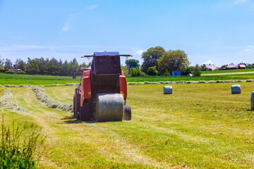 Obraz premium After mowing, a red tractor collects hay in bales on a large field.