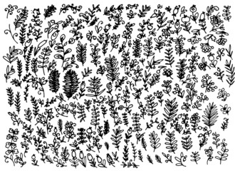 a large set of plants leaves and flowers. hand-drawn in the style of a doodle, a set of isolated twig elements, a black outline on white for a design template