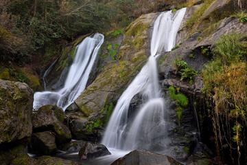 Obraz premium 秋の白水の滝・母滝