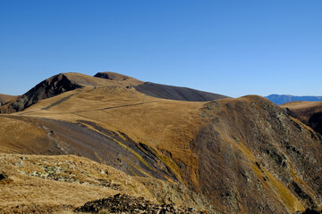 The curious landscapes of the 