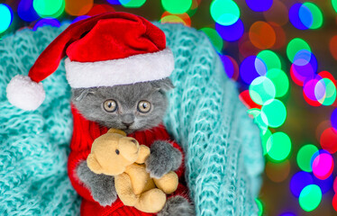 Cute kitten wearing warm sweater  and santa hat lies inside basket and hugs  toy bear. Top down view. Empty space for text