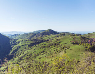 Naklejka premium Summer Mountain Landscape with Green Meadows .Rhodope Mountains in Bulgaria 