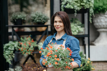 Sale of plants in shop in rustic style and studio, gardening and seasonal bloom