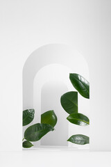 White arches decorated green ficus leaves with perspective, sunlight, shadows as elegant stage template for presentation cosmetic product, goods, design, advertising in fresh spring style, vertical.