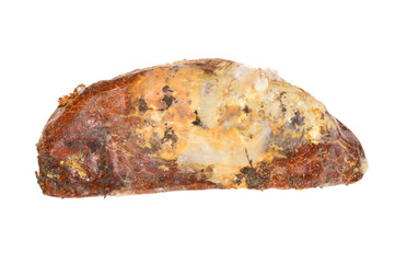 mold isolated on white background