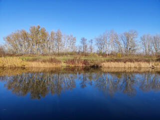 Trees reflected in calm water