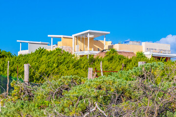 Tropical plants natural beach buildings behind Playa del Carmen Mexico.