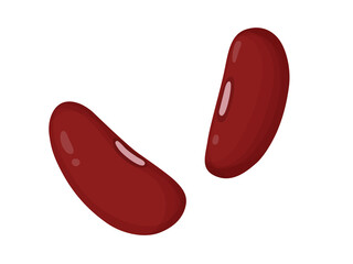 Kidney beans. Red beans in cartoon style. Healthy vegetarian food illustration.